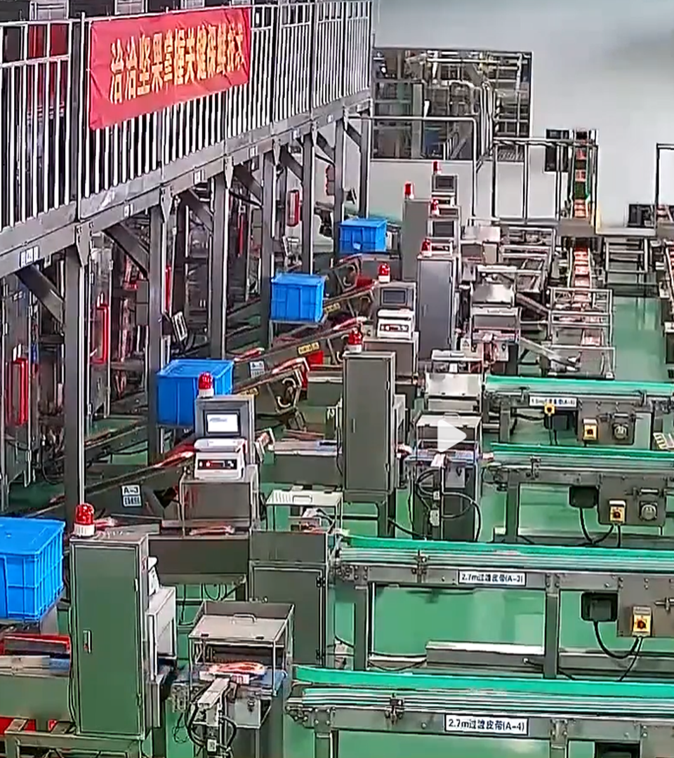 2020年人生就是博透明工厂直播